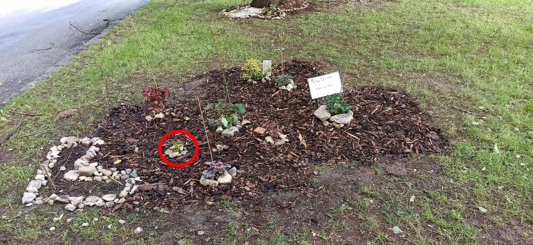 Najprv zmiznú rastliny a dnes pre zmenu zmizol vtáčik, ktorého skúšam na plašenie vtákov... To už je fakt niekto taký lakomý, že má potrebu kradnúť takéto veci? Som sklamaný a smutný,  investujem čas, energiu a svoje peniaze do skrášľovania okolia, ale potvrdzuje sa mi, že je táto spoločnosť zlá...