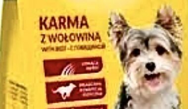 Gurus beware, or the joys of the Polish language, part 51