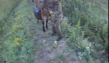 Unfortunately Russian soldiers are using horses directly at the front. Animal losses therefore can't be prevented anymore. 27.07.2025