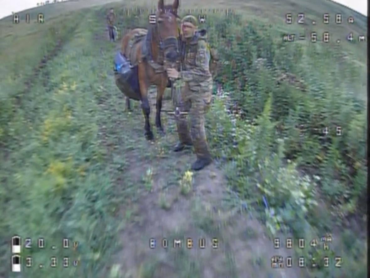 Unfortunately Russian soldiers are using horses directly at the front. Animal losses therefore can't be prevented anymore. 27.07.2025