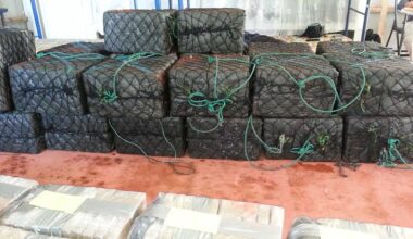 Massive Cocaine Seizure at Costa Rica’s Moín Terminal Targets UK