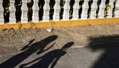 Número de crianças a residir em Portugal caiu em 2024: são agora 1,36 milhões