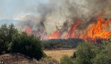 The new wildfire broke out at Koropi, a town some 30 kilometres (20 miles) east of Athens