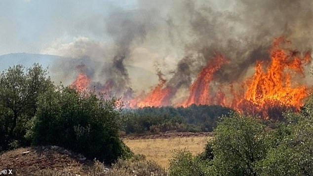 The new wildfire broke out at Koropi, a town some 30 kilometres (20 miles) east of Athens
