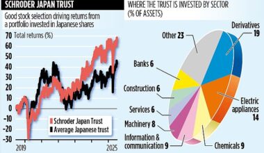 SCHRODER JAPAN TRUST: Picking the best country has to offer