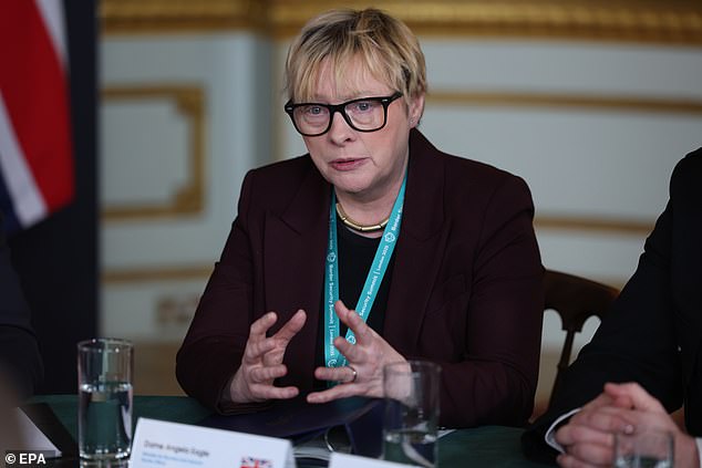 Minister for Border Security and Asylum, Dame Angela Eagle (above), said Labour inherited an asylum system 'on the brink of collapse'