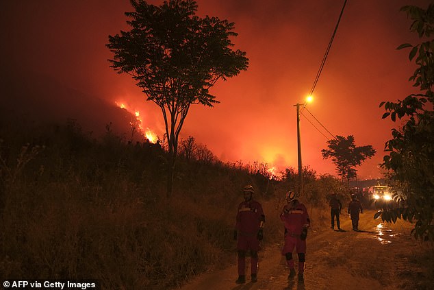 Firefighters attempt to extinguish a wildfire as smoke and flames rise from a forested area in the Gursu district of Bursa early on Sunday