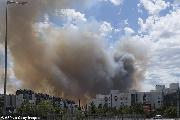 Flames and smoke rise from a burning forest during a wildfire near Psachna Village on Evia (Euboea) island, the second-largest Greek island, on Sunday