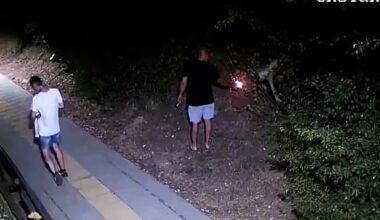 Shocking footage shows a 33-year-old man appearing to set fire to a verge of grass next to a pavement