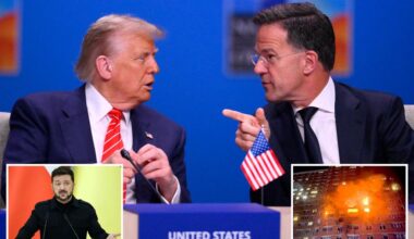 NATO boss warns against Trump halting weapon shipments to Ukraine: 'Cannot do without US'