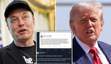 Elon Musk hits back at Trump after president said he didn't want to strip Tesla boss of subsidies