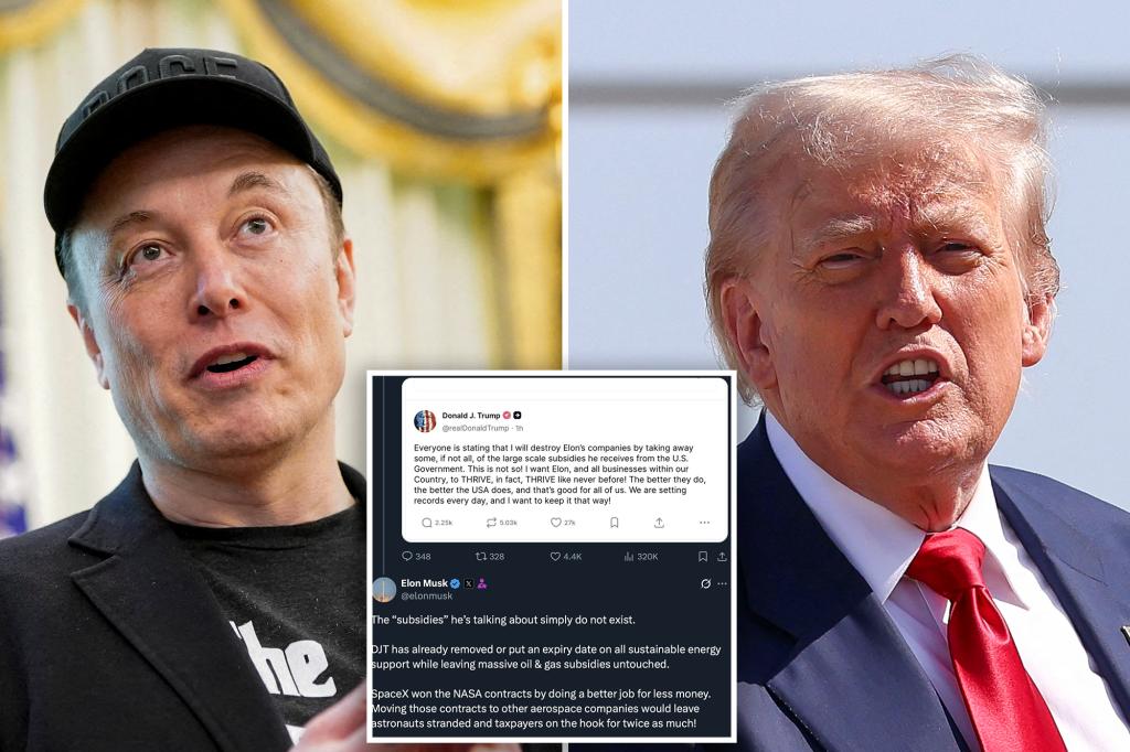 Elon Musk hits back at Trump after president said he didn't want to strip Tesla boss of subsidies
