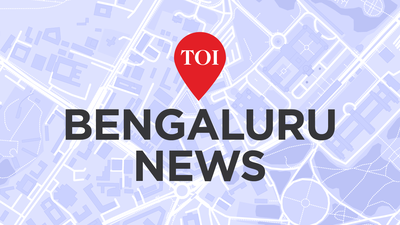 India’s startup surge to go beyond metros by 2035: TiE