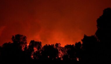Video. Spain heatwave fuels raging wildfire in Catalan national park