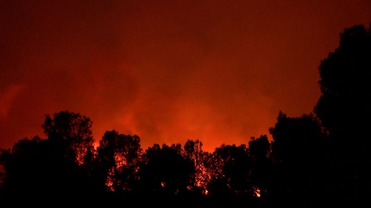 Video. Spain heatwave fuels raging wildfire in Catalan national park