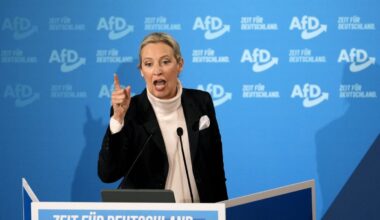 US Vice President Vance shuns Scholz and meets AfD party leader instead