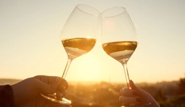 UK wine duty: Are hotter countries really being taxed more on their wine?