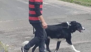You know you're old when Dennis the menace and Gnasher are all grown up