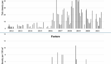 Ghosts of weather past? Impact of past and present weather-related factors on the seasonal questing activity of Ixodes ricinus nymphs in southwestern Finland | Parasites & Vectors