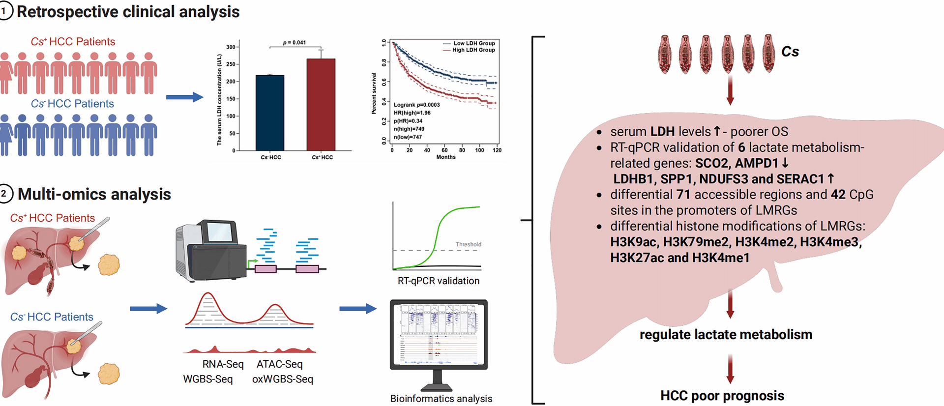 Multi-omics analysis of lactate metabolism gene regulation in Clonorchis sinensis-associated hepatocellular carcinoma | Parasites & Vectors