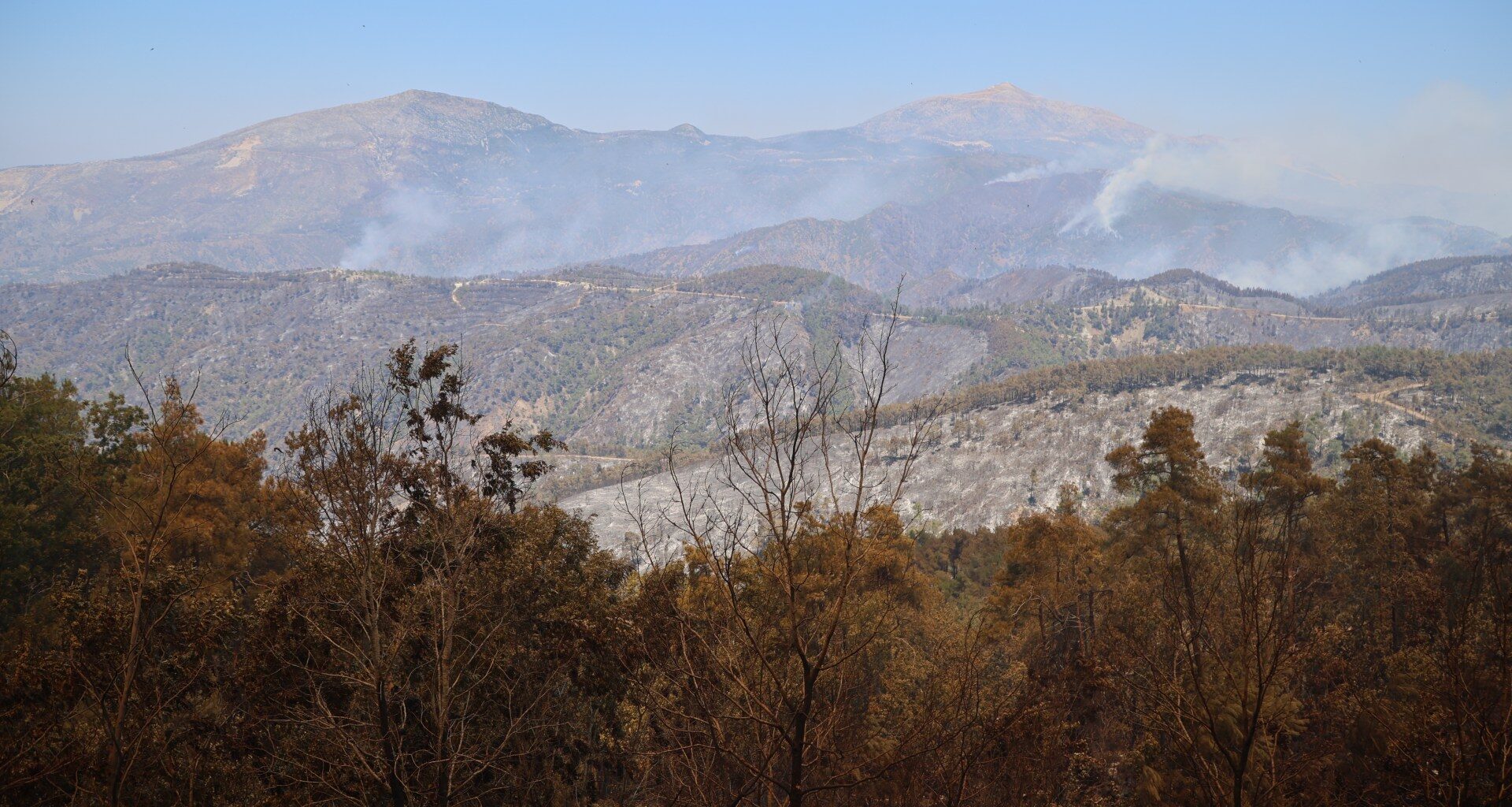 Syria says wildfires in northwest Latakia province contained after 10 days | Climate Crisis News