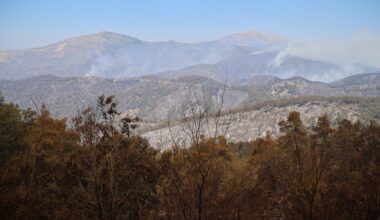 Syria says wildfires in northwest Latakia province contained after 10 days | Climate Crisis News