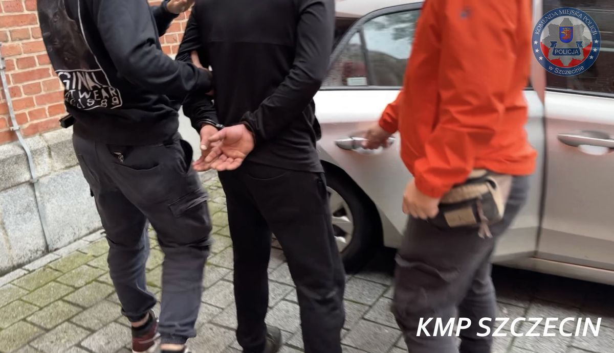 Niebezpieczna pułapka na kierowców – sprawca zatrzymany przez kryminalnych z Pogodna - Aktualności