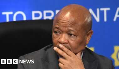 Cyril Ramaphosa suspends SA police minister Senzo Mchunu over allegations