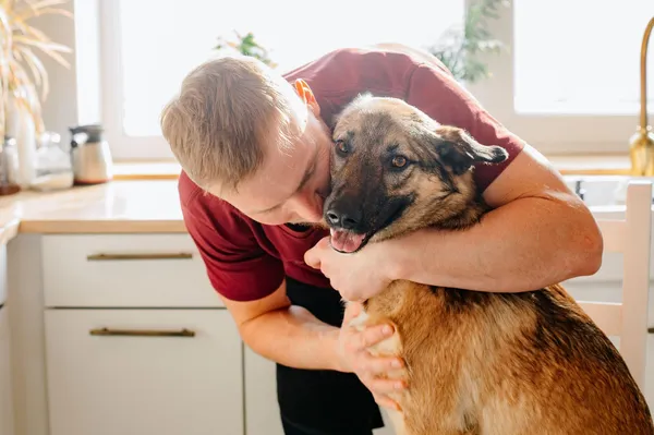 Veterinarka opozarja: predmet, ki ga imate doma, je lahko izjemno strupen za pse