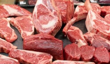 Tougher food rules for holidaymakers to safeguard UK farms