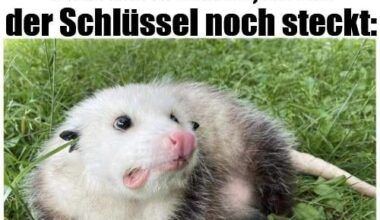 ich iel