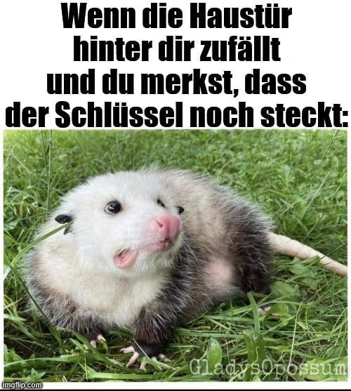 ich iel