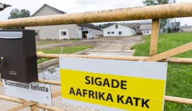 SEAD HUKATAKSE ⟩ Viljandimaal tuvastati sigade Aafrika katk 4500 seaga farmis