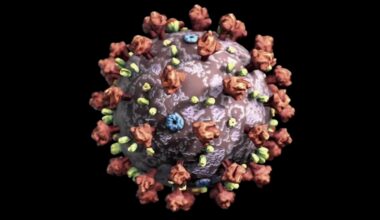 COVID-19 cases on the rise around San Francisco Bay Area; highest levels since winter, health officials say