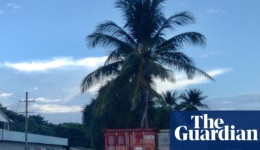 Asylum seekers on Nauru contract dengue as advocates call on Australia to take responsibility | Australian immigration and asylum