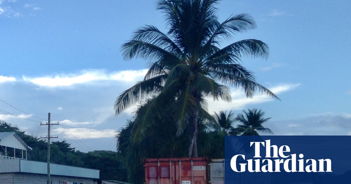 Asylum seekers on Nauru contract dengue as advocates call on Australia to take responsibility | Australian immigration and asylum