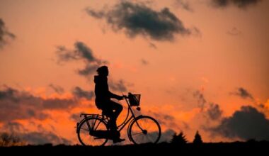 EuroVelo 15 – Rheinradweg nach Österreich und Liechtenstein verlängert | oekonews.at