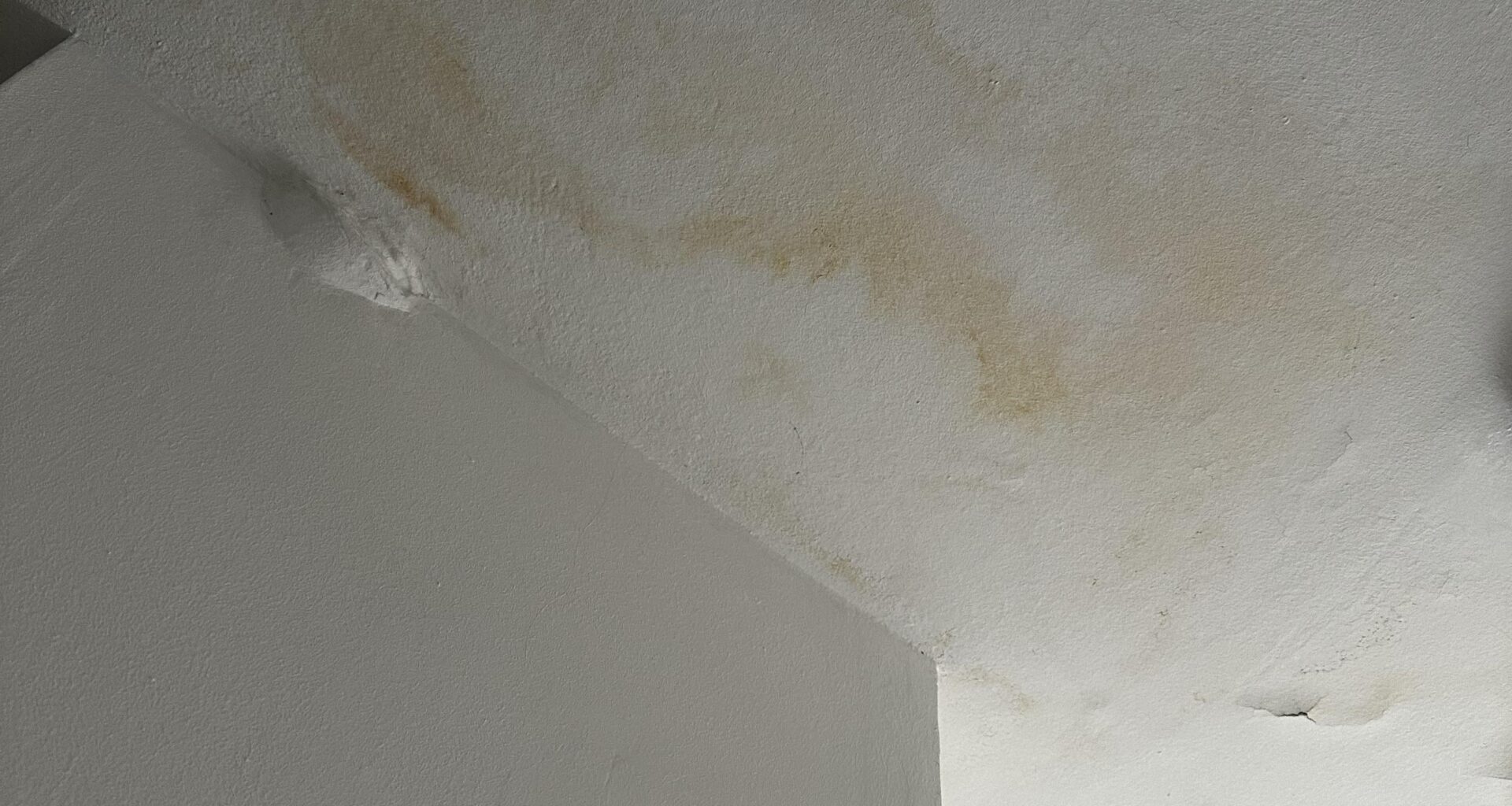 Is this some kind of mold?