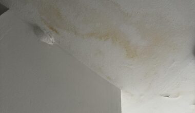 Is this some kind of mold?