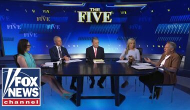 ‘The Five’: Democrats are in for a ‘hot socialist summer’
