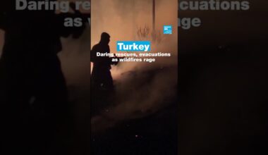 Turkey: Daring rescues, evacuations as wildfires rage • FRANCE 24 English