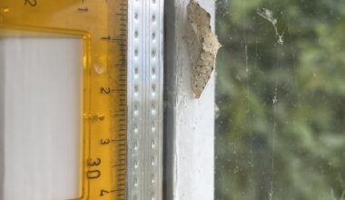 Wer hat sich da verpuppt? (ca. 2cm lang, schweizer Mittelland)
