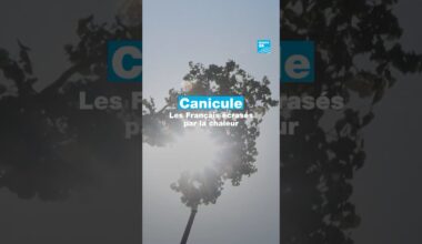 Canicule : les Français écrasés par la chaleur • FRANCE 24