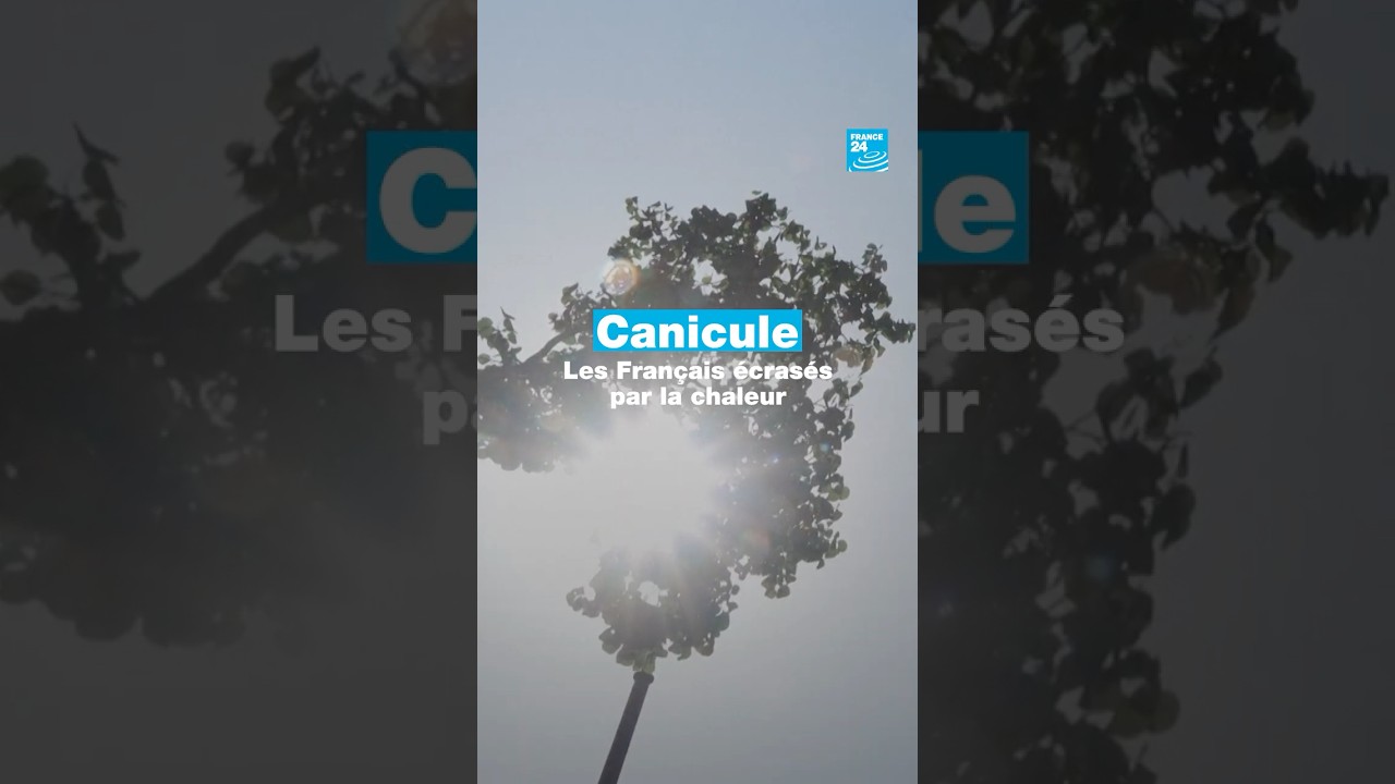 Canicule : les Français écrasés par la chaleur • FRANCE 24