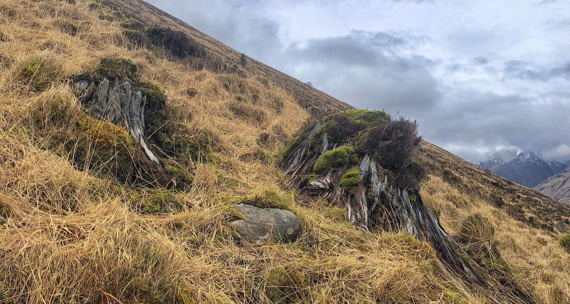 Why do Scot’s not realise their country is actually extremely degraded and ecologically dead?