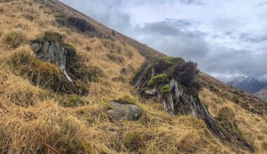 Why do Scot’s not realise their country is actually extremely degraded and ecologically dead?