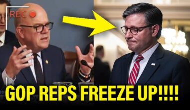 GOP Reps Get MASSACRED BY CROSS EXAM at Key Hearing