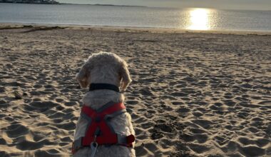 Lucky to live near such a gorgeous beach!