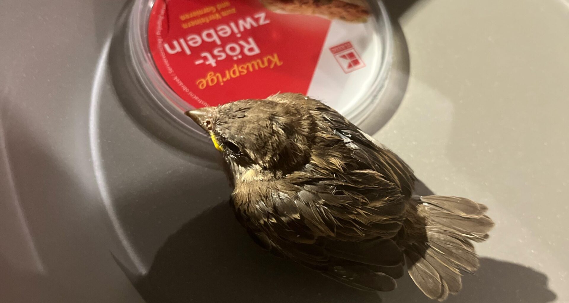 Und nun?