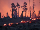 Wildfires in eastern Germany injure firefighters and force evacuations — Naharnet